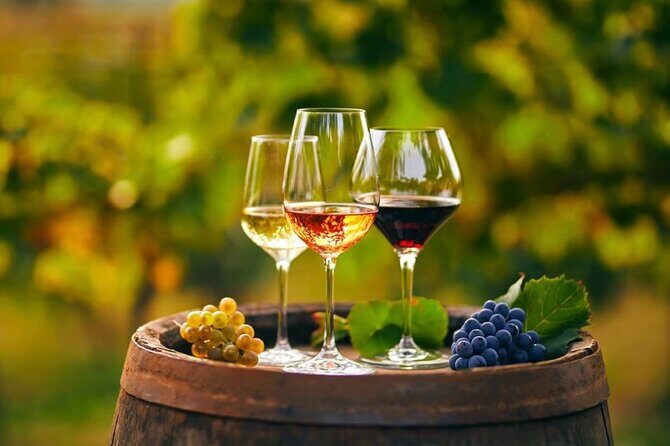 Cheese and Wine Tasting Tour From Chania - Stop 1: Vouves and the world’s old olive tree