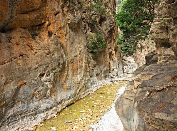 Samaria Gorge Hiking from Chania with Professional Hiking Guide - Agia Roumeli beach time: swimming, rocky sand, and recovery